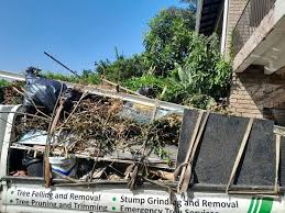 Best Foreclosure Cleanout  in The Galena Territory, IL